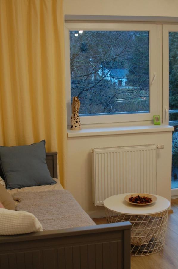 Apartman Masaryk Lipova Lazne Εξωτερικό φωτογραφία